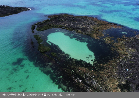 바다 가운데 나타나기 시작하는 천연 풀장<사진제공·김태진>