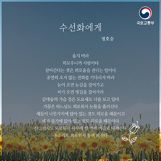 감성 돋고 싶은 가을, 이런 시는 어때요?