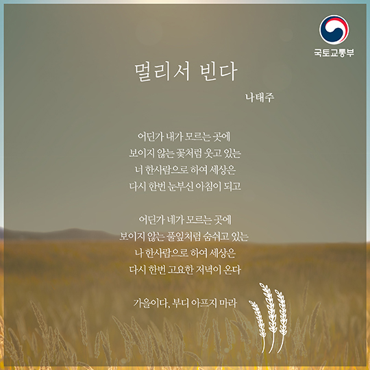 감성 돋고 싶은 가을, 이런 시는 어때요?