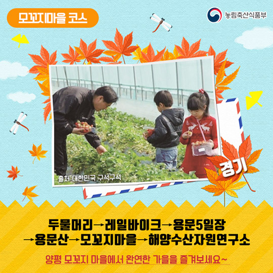 가을 정취를 느끼기 좋은 농촌관광코스 10선