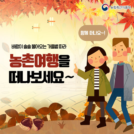 가을 정취를 느끼기 좋은 농촌관광코스 10선