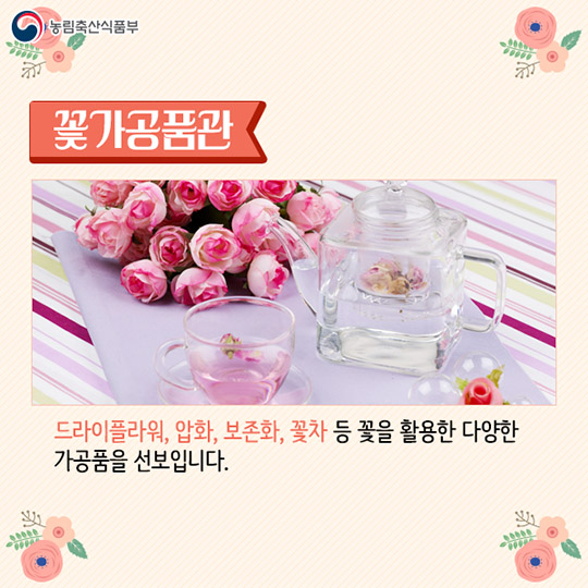 꽃 생활화 페스티벌