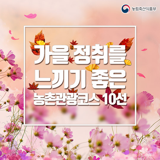 가을 정취를 느끼기 좋은 농촌관광코스 10선