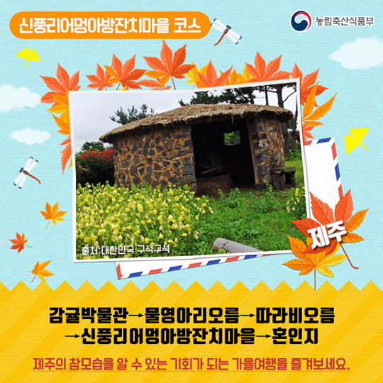 가을 정취를 느끼기 좋은 농촌관광코스 10선