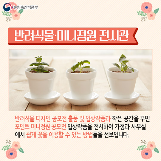 꽃 생활화 페스티벌
