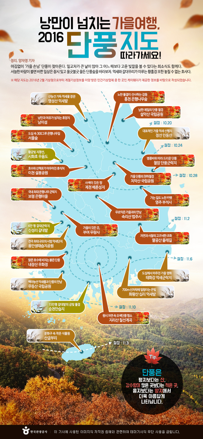낭만이 넘치는 가을여행, 2016 단풍지도 따라가세요!