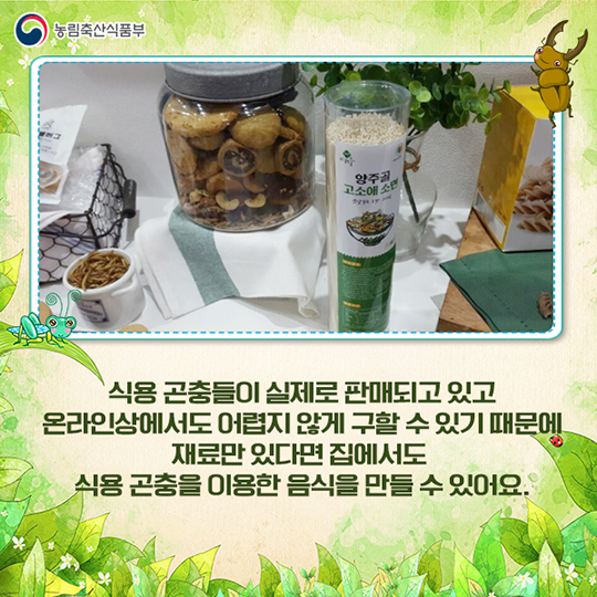미래 식량이 식 용곤충이라고?