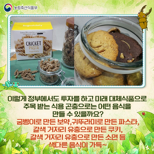미래 식량이 식용 곤충이라고?