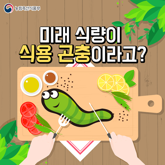 미래 식량이 식용 곤충이라고?