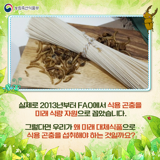미래 식량이 식용 곤충이라고?