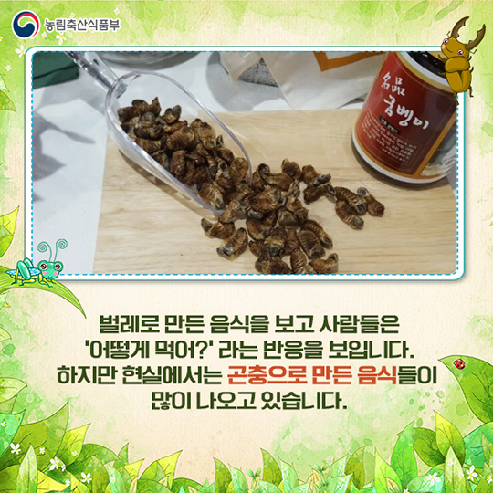 미래 식량이 식용 곤충이라고?