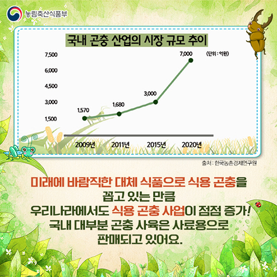 미래 식량이 식용 곤충이라고?