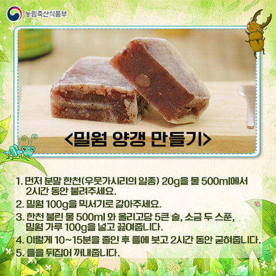 미래 식량이 식용 곤충이라고?