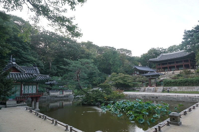 후원의 중심 정원 부용지는 임금과 신하의 화합의 장소가 되기도 했다. 후원의 중심 정원 부용지는 임금과 신하의 화합의 장소가 되기도 했다.