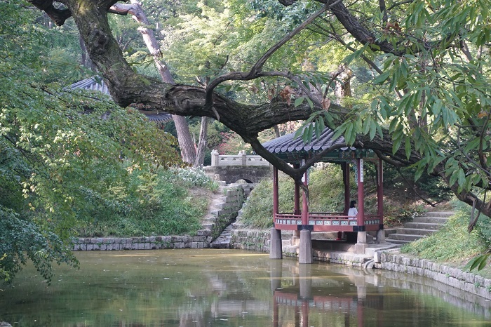 곡선형의 호수에 두 발을 걸치고 있는 것 같은 관람정의 모습이 밤나무가지 사이로 보이고 있다. 곡선형의 호수에 두 발을 걸치고 있는 것 같은 관람정의 모습이 밤나무가지 사이로 보이고 있다.