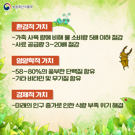 미래 식량이 식용 곤충이라고?