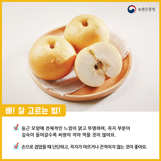 알고 먹으면 더 맛있는 배