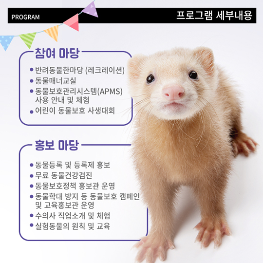 함께해요 동물사랑! 동물보호문화축제