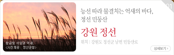 능선 따라 물결치는 억새의 바다, 정선 민둥산 - 강원도 정선군 남면