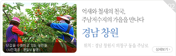 억새와 철새의 천국, 주남저수지의 가을을 만나다 - 경남 창원시 의창구