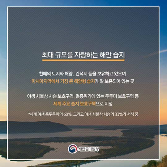 중국 옌청시의 매력을 엿보다