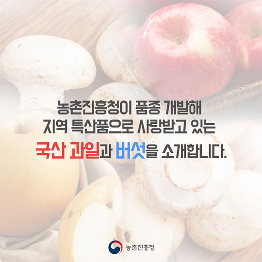 지역 특산품으로 자리 잡은 사과, 배, 양송이