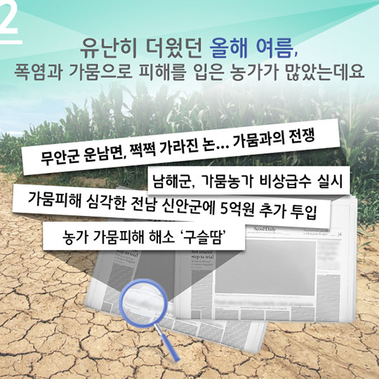 내 맘대로 농사짓는 시대가 온다!