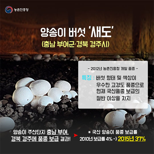 지역 특산품으로 자리 잡은 사과, 배, 양송이