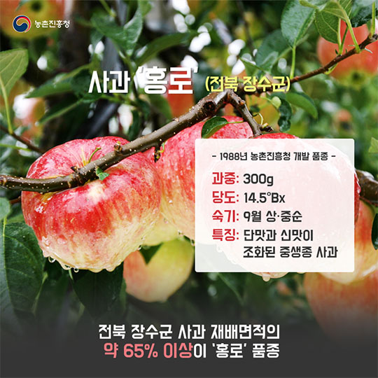 지역 특산품으로 자리 잡은 사과, 배, 양송이