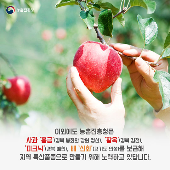 지역 특산품으로 자리 잡은 사과, 배, 양송이