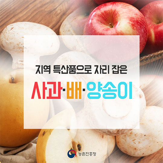 지역 특산품으로 자리 잡은 사과, 배, 양송이