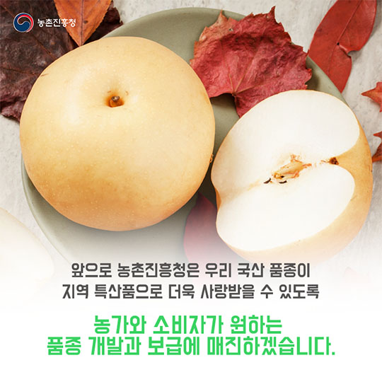 지역 특산품으로 자리 잡은 사과, 배, 양송이