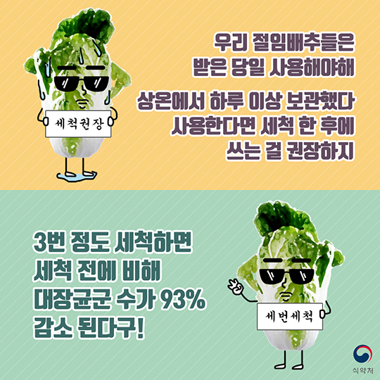 내 이름은 절임배추 요즘 아주 잘나가지