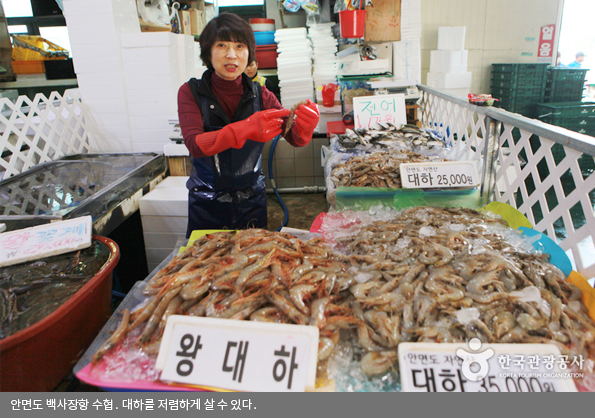 안면도 백사장항 수협. 대하를 저렴하게 살 수 있다.