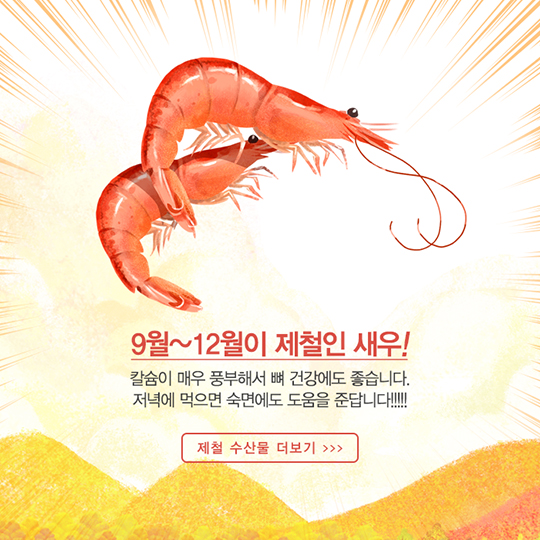 가을에 맛보는 제철 수산물