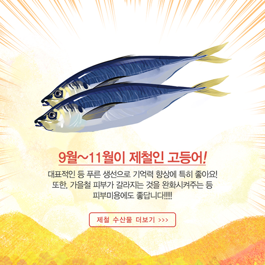 가을에 맛보는 제철 수산물
