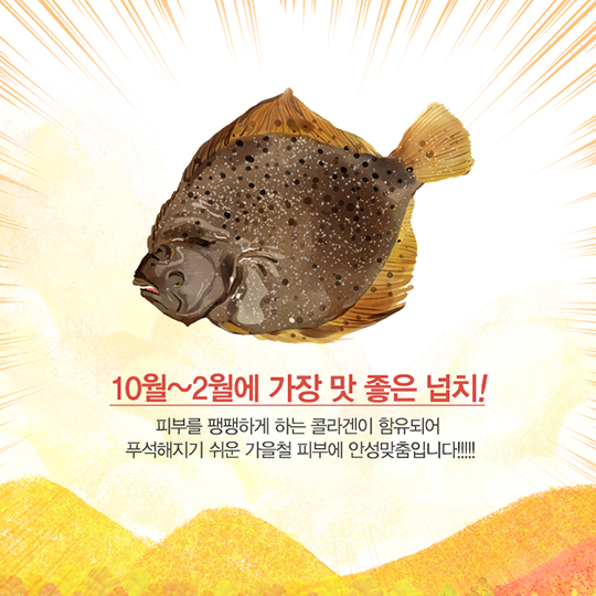 가을에 맛보는 제철 수산물