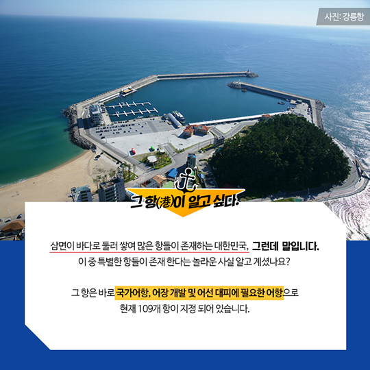 대한민국 국가어항