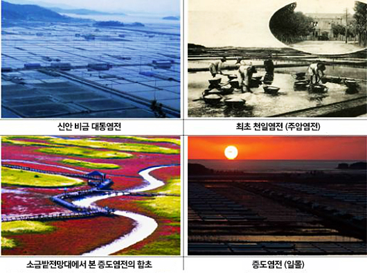신안 천일염업 신안 천일염업