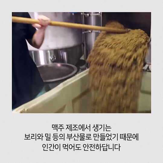 당신의 아이디어-쓰레기를 그만 만들면 되잖아요