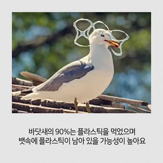 당신의 아이디어-쓰레기를 그만 만들면 되잖아요