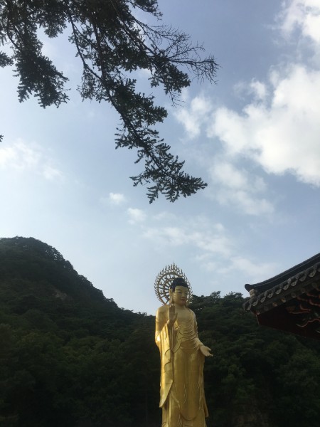 충청북도 보은군 속리산 법주사.