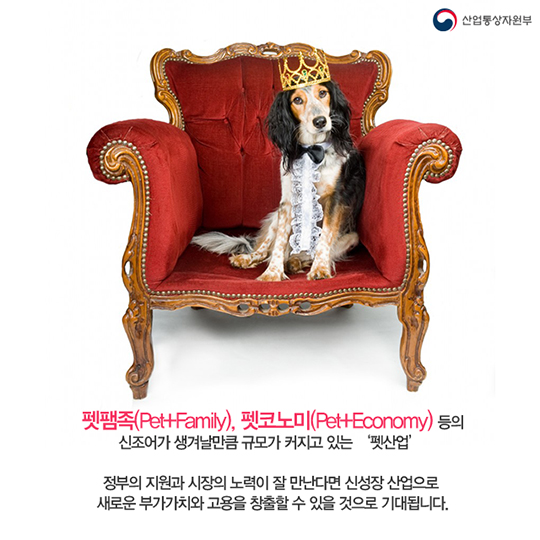 신(新)성장 ‘펫산업’