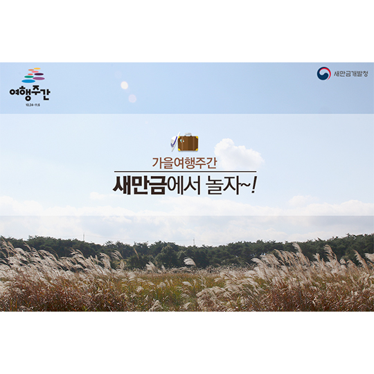 새만금에서 놀자~