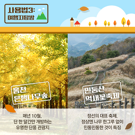가을 전통시장 사용 설명서 - 강원
