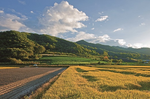 춘천 ‘고탄리 산골마을’. 