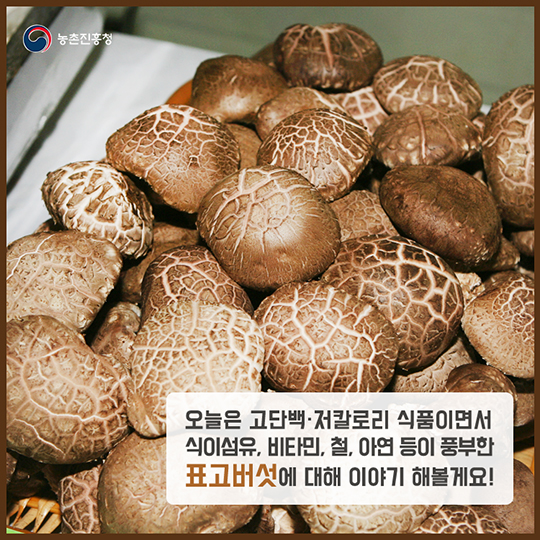 알고 먹으면 더 맛있는 표고버섯