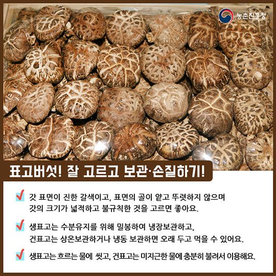 알고 먹으면 더 맛있는 표고버섯
