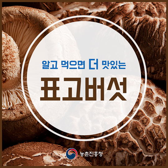 알고 먹으면 더 맛있는 표고버섯