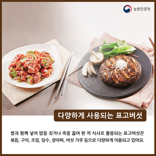 알고 먹으면 더 맛있는 표고버섯